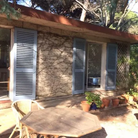 Mon Cabanon Sous Les Pins 度假居 圣特罗佩