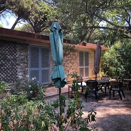 Nyaraló Mon Cabanon Sous Les Pins Saint-Tropez