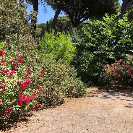 Mon Cabanon Sous Les Pins Nyaraló *